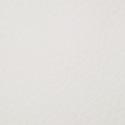 006. Pol. 00-Blanco