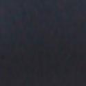 255. Negro Simil Piel